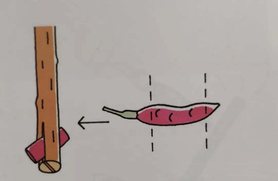 Insert red peppers into branch cuts and dip into alcohol.